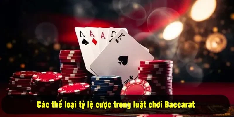 Các thể loại tỷ lệ cược trong luật chơi Baccarat