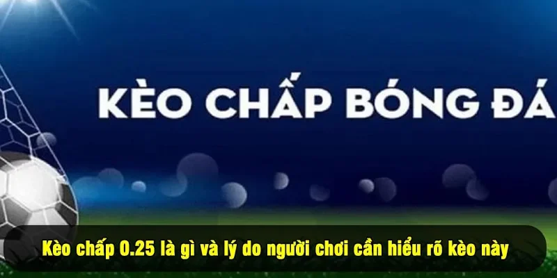 Kèo chấp 0.25 là gì và lý do người chơi cần hiểu rõ kèo này