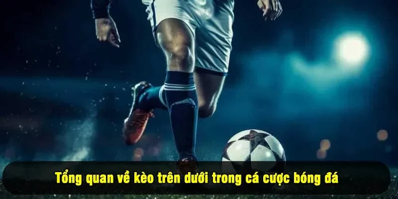 Tổng quan về kèo trên dưới trong cá cược bóng đá
